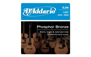 DAddario EJ16 - Phosphor Bronze Light [12-53]